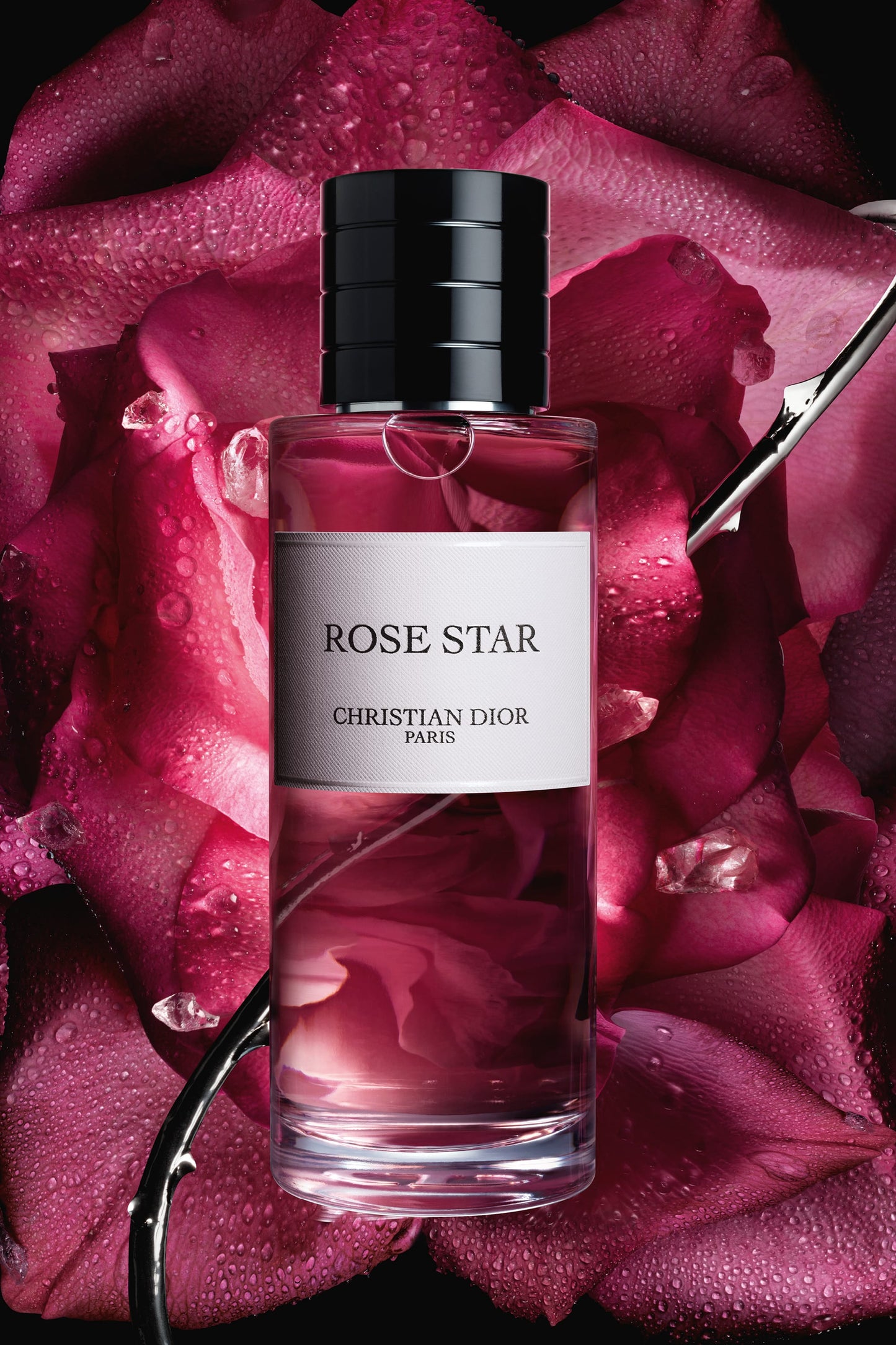 Dior - Rose Star 200ml