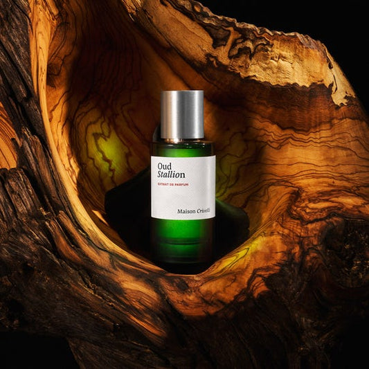 Oud Stallion - Crivelli 50ml